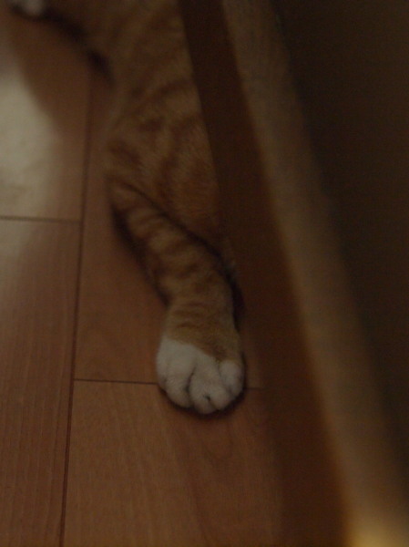 a0073065_11331520.jpg