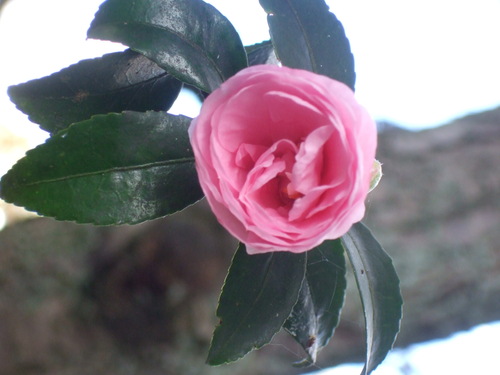 f0032766_17165794.jpg