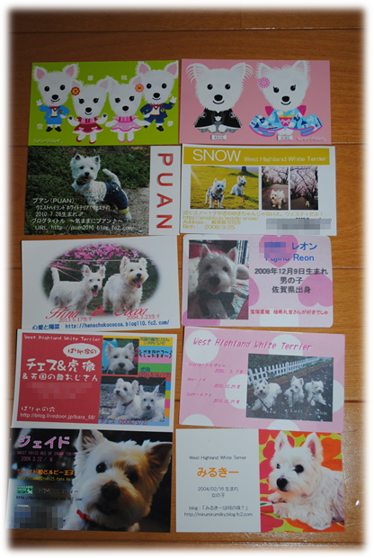 b0242873_10504539.png