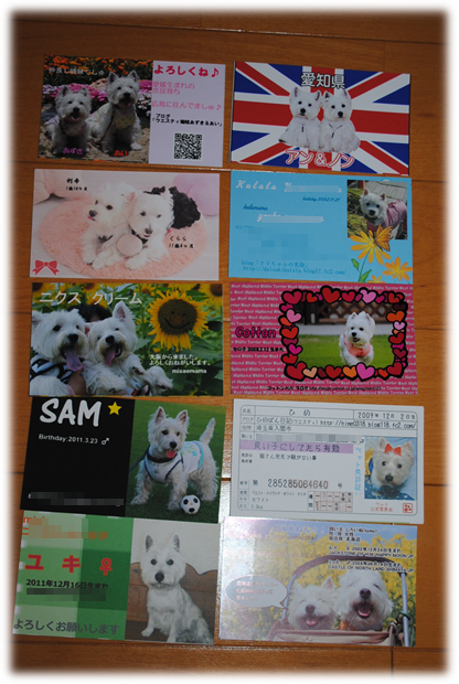 b0242873_10521359.png