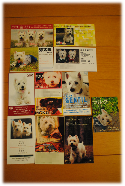 b0242873_10522734.png