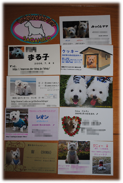 b0242873_1052347.png