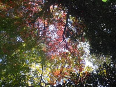 f0219674_21585959.jpg
