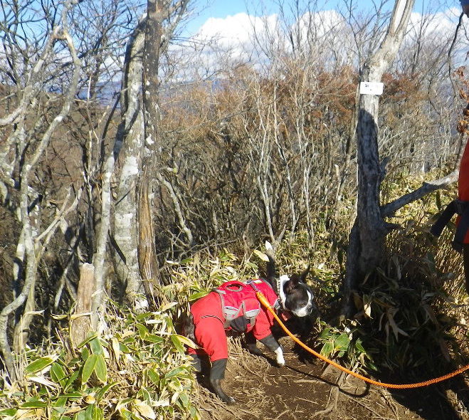 樹氷がきれいな赤城山_b0184877_15333191.jpg