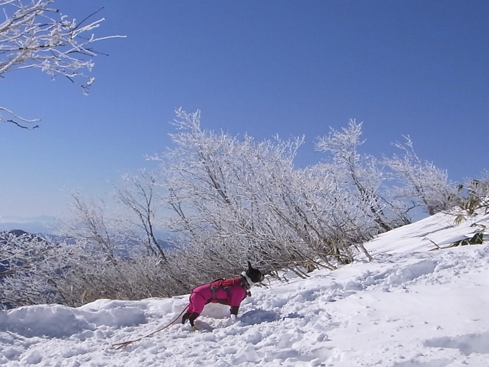 谷川岳雪山登山_b0184877_1865864.jpg