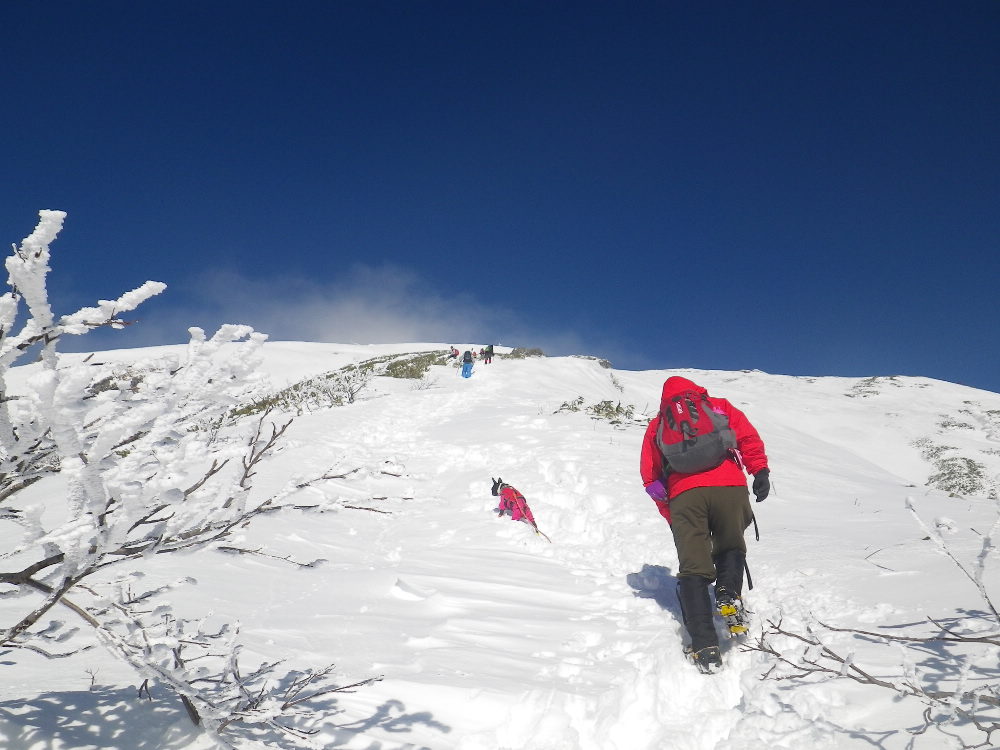 谷川岳雪山登山_b0184877_1892633.jpg