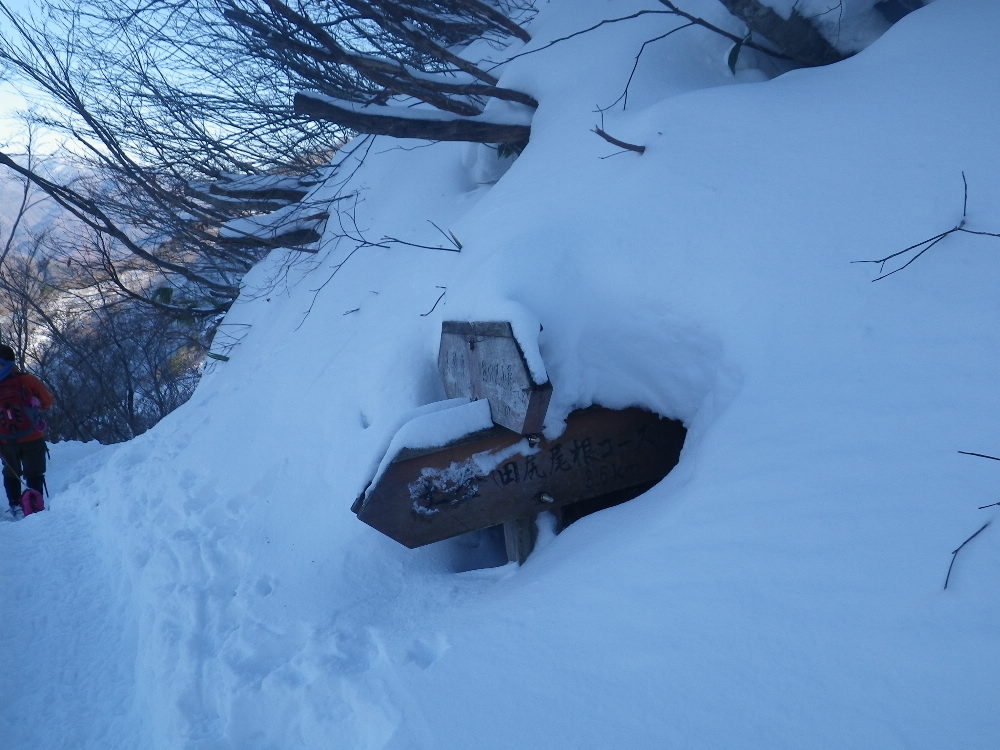 谷川岳雪山登山_b0184877_20303548.jpg