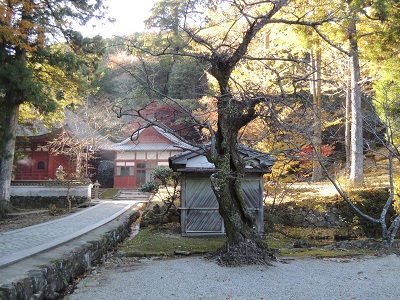 伊勢と朝熊山　その二_c0243877_9193074.jpg