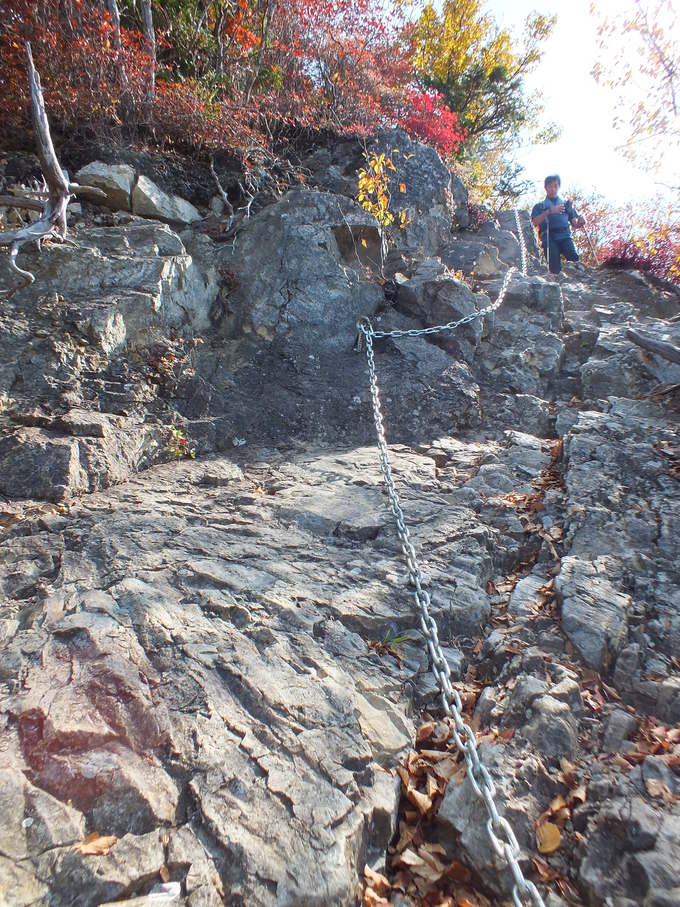 a0040879_23144565.jpg