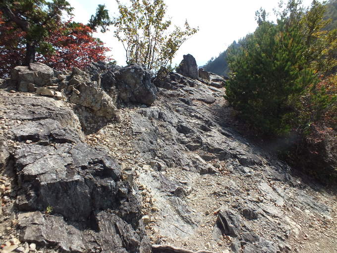 a0040879_2319415.jpg