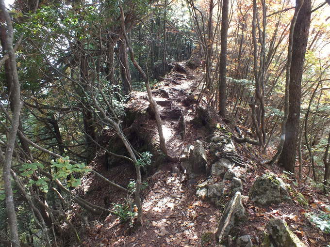 a0040879_23285886.jpg