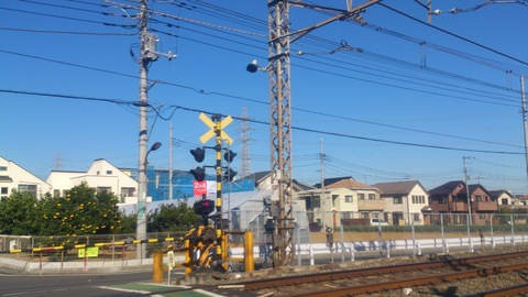 d0182179_8482960.jpg