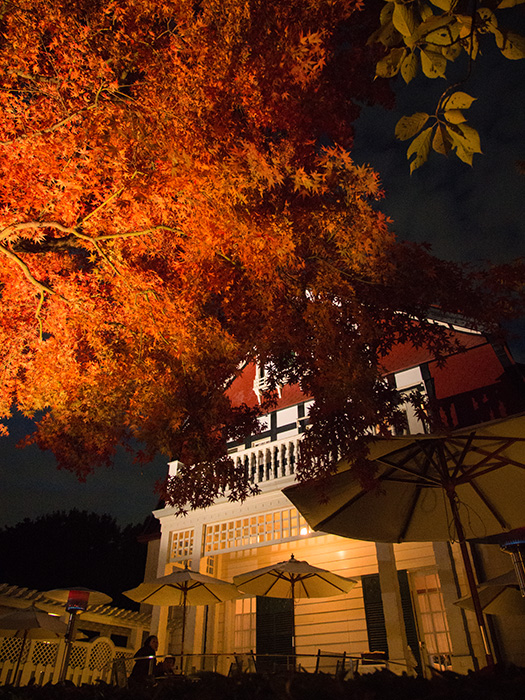 江戸たてもの園*紅葉ライトアップ*_a0161380_15385049.jpg