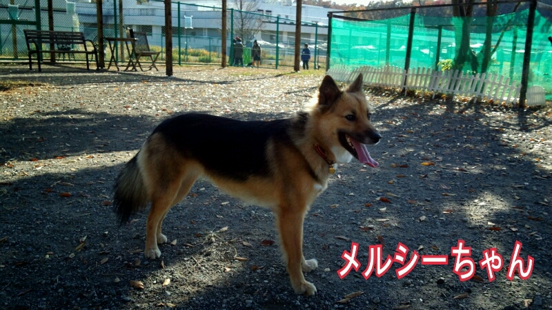 f0230380_20241630.jpg