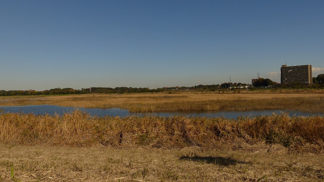 a0185081_10255517.jpg