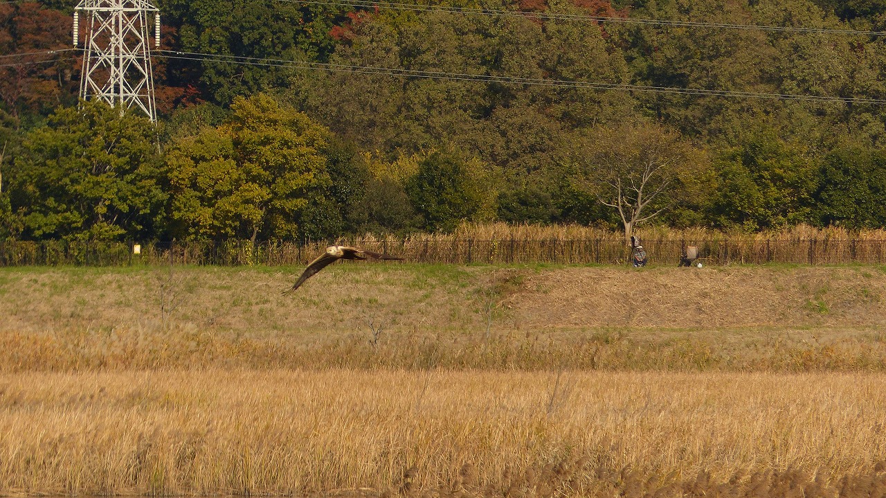 a0185081_1026598.jpg