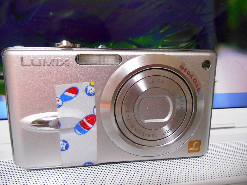 c0198781_2353269.jpg