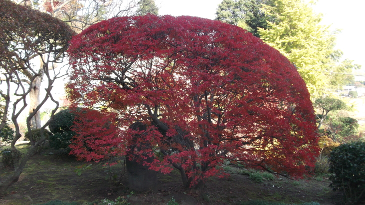 c0212083_14313140.jpg