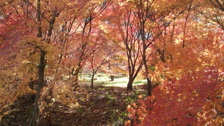 c0212083_14392281.jpg