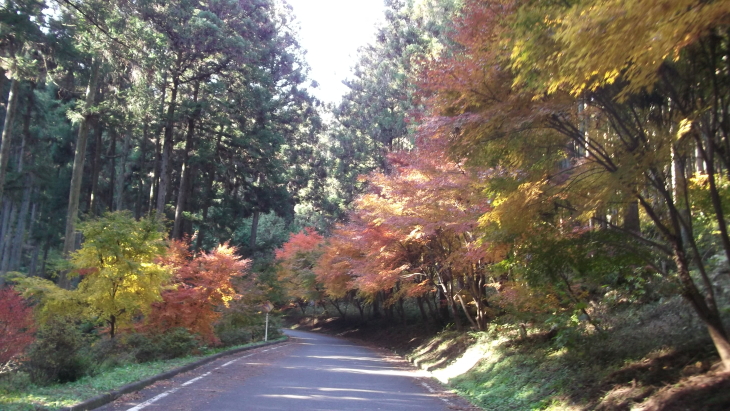 c0212083_14463122.jpg
