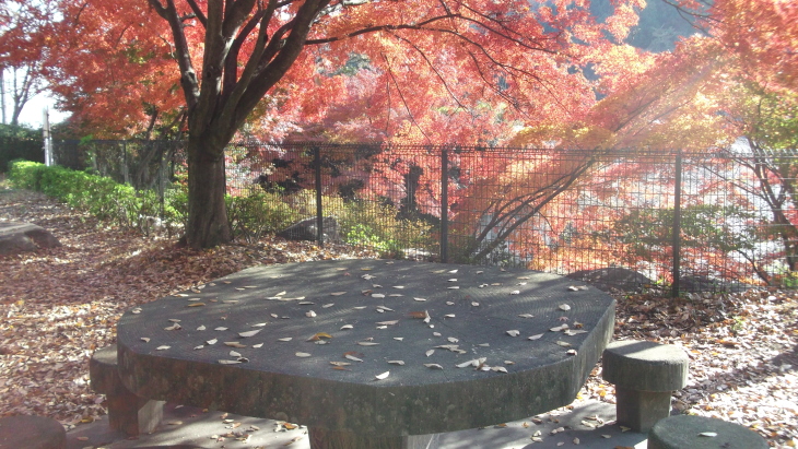 c0212083_14474894.jpg