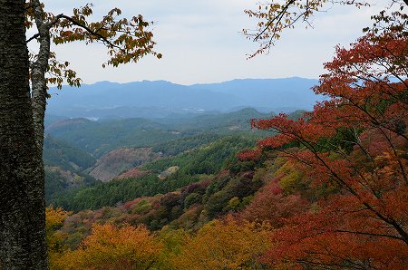 吉野山・水分神社　④_c0229483_212236.jpg