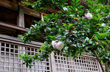 吉野山・水分神社　④_c0229483_21315526.jpg