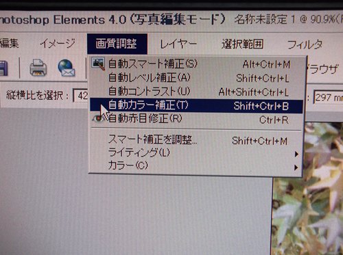 f0159784_1110491.jpg