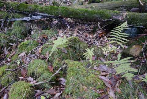 c0160488_14531864.jpg