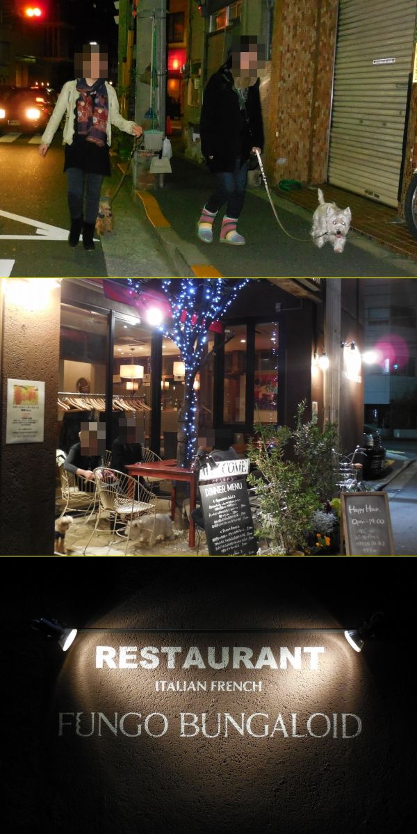 秋晴れ散歩＆焼肉ﾊﾟｰﾃｨ　>>>>>　2013/11/17_e0110888_21124343.jpg