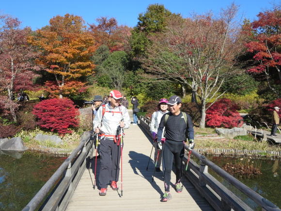 11月23日(土) 昭和記念公園で紅葉NW_c0222190_23212815.jpg