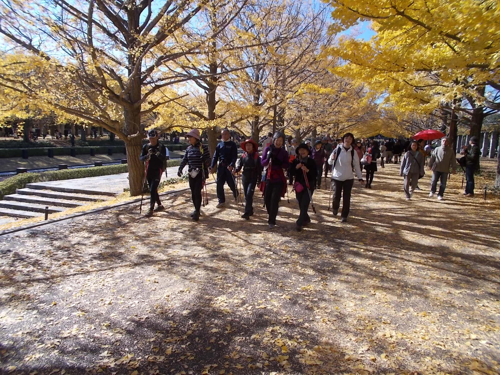 11月23日(土) 昭和記念公園で紅葉NW_c0222190_23431422.jpg