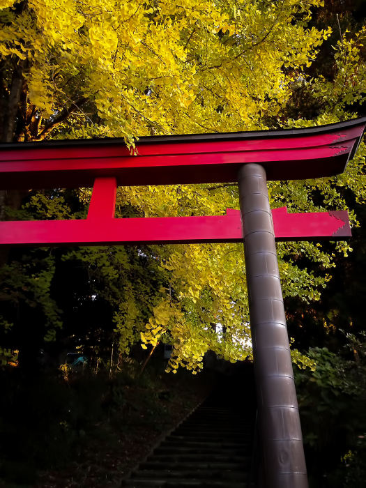 愛宕神社_d0049290_21190626.jpg