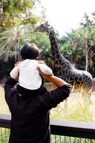 la zoo*_d0159690_15424938.jpg