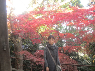c0078592_052869.jpg