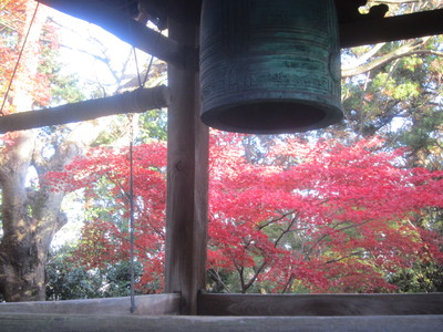 四国霊場第八十二番札所根来寺の秋の紅葉_c0078592_05359.jpg