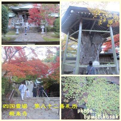 四国霊場第八十二番札所根来寺の秋の紅葉_c0078592_0544378.jpg