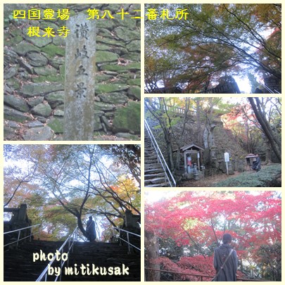 四国霊場第八十二番札所根来寺の秋の紅葉_c0078592_0581517.jpg