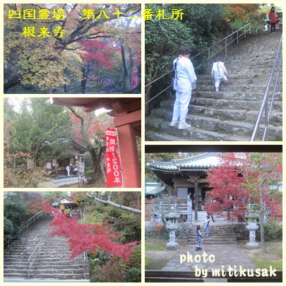 四国霊場第八十二番札所根来寺の秋の紅葉_c0078592_0584357.jpg