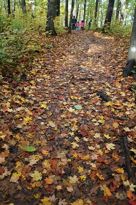 f0199394_7405839.jpg
