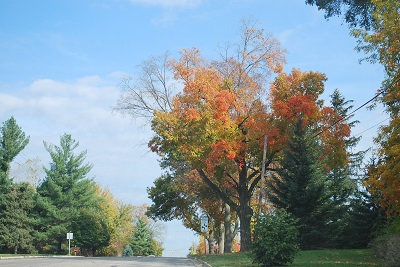 f0199394_7423914.jpg