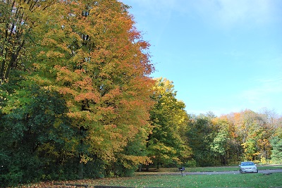 f0199394_74243.jpg