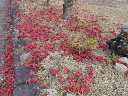 f0209394_035181.jpg