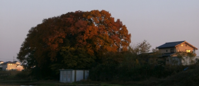 d0000995_21545348.jpg