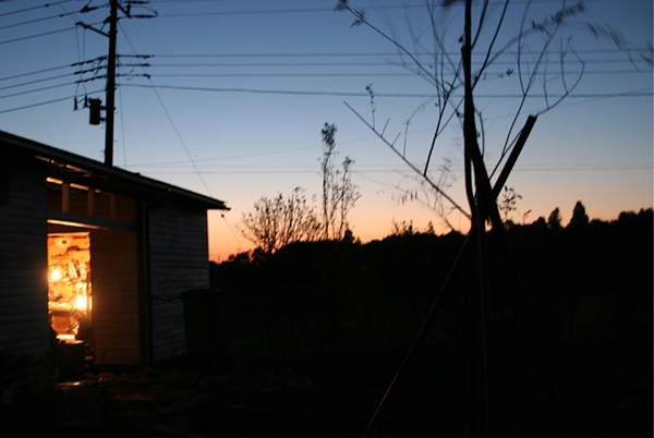 d0100095_875899.jpg