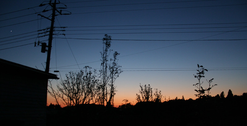 d0100095_8878.jpg