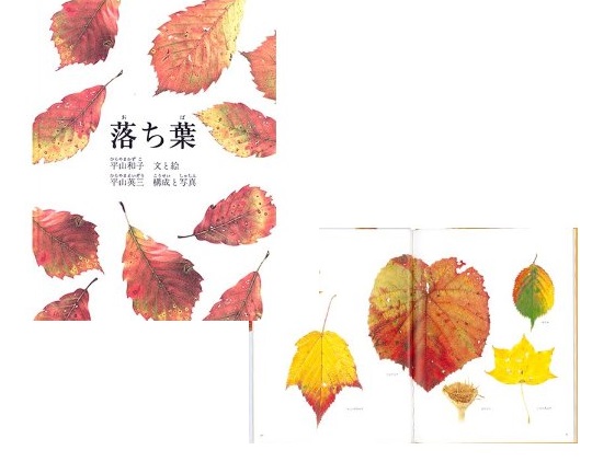 秋をたのしむ 落ち葉 の絵本 絵本からはじまるすてきな暮らし Ardour 秋をたのしむ 落ち葉 の絵本 絵本からはじまるすてきな暮らし Ardour