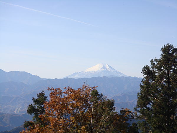 富士山と紅葉　（影信山～高尾山）_c0137000_14572961.jpg