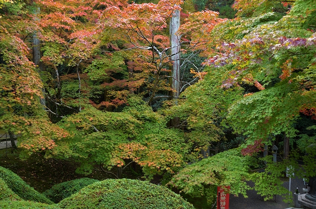 a0169902_5471067.jpg