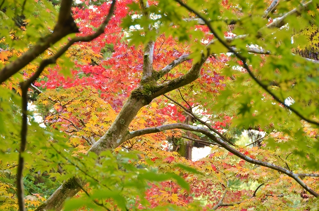 a0169902_5472121.jpg